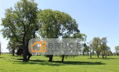 Parcela en Venta en Lomas de Pilauco, Osorno