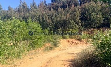 Sitio en Venta en Ruta 0-554