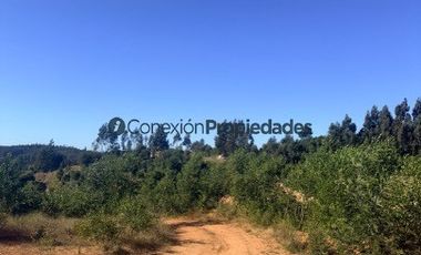 Parcela en Venta en Ruta 0-554