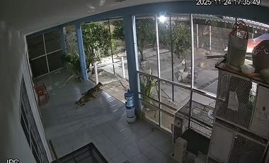 Casa con amplio terreno en venta en Ucú