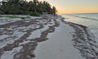 TERRENO 1A LINE DE PLAYA KM 23.5 CARRETERA A TELCHAC