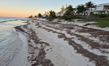 TERRENO 1A LINE DE PLAYA KM 23.5 CARRETERA A TELCHAC