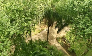 Departamento amueblado en renta en el Yucatán Country Club