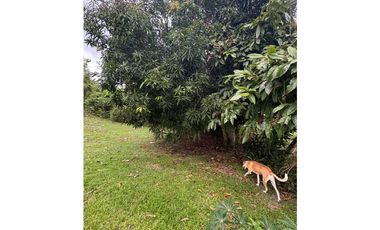 Venta de Casa en Panamá Oeste, Colinas del Mar