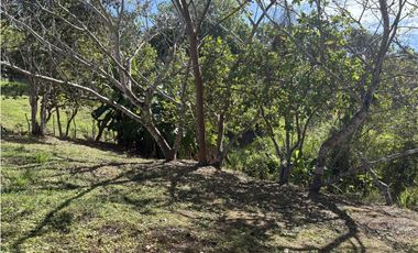 SAN CARLOS / EL ESPINO / 1554 M / TERRENO / VISTA MONTAÑAS AG