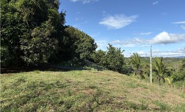 SAN CARLOS / EL ESPINO / 1554 M / TERRENO / VISTA MONTAÑAS AG