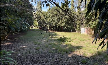 SAN CARLOS / EL EPINO / 1744 M / TERRENO PLANO / CERCA DE PLAYA / AG