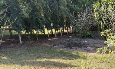 SAN CARLOS / EL EPINO / 1744 M / TERRENO PLANO / CERCA DE PLAYA / AG