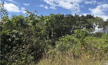SAN CARLOS / EL NANCE / 6500 M / COLINDA CON RIO / CERCA DE PLAYA / AG