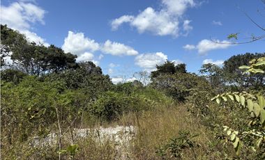 SAN CARLOS / EL NANCE / 6500 M / COLINDA CON RIO / CERCA DE PLAYA / AG
