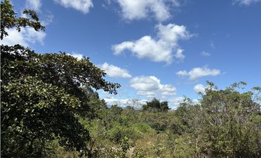 SAN CARLOS / EL NANCE / 6500 M / COLINDA CON RIO / CERCA DE PLAYA / AG