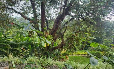 LLEGO 2026 Y TU HORA DE INVERTIR EN DAPA ZONA RURAL A 20 MINUTOS DE CALI,  VENDO HERMOSA CASA RENTANDO