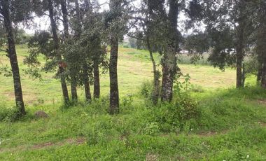 Terreno en venta en los Saúcos, Valle de Bravo.