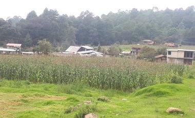 Terreno en venta en los Saúcos, Valle de Bravo.