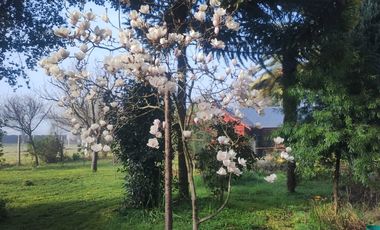 HERMOSA PARCELA CON ROL PROPIO Y TOTALMENTE REGULARIZADA