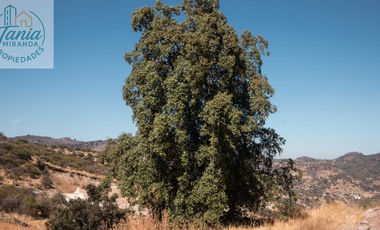 Parcela en venta en CURICÓ