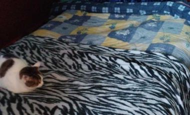 Departamento en venta en EL MONTE