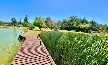 Parcela de 3,6 ha con orilla de lago, Rapel