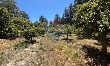 Parcela de 3,6 ha con orilla de lago, Rapel