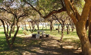 TERRENOS CON ESCRITURA DESDE 300M² EN VILLA CATALINA