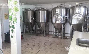 Casa y local en venta en Caviahue