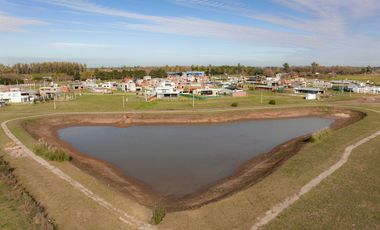 Terreno - Fincas del Rosedal - Ibarlucea