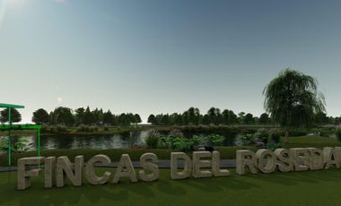 Terreno - Fincas del Rosedal - Ibarlucea