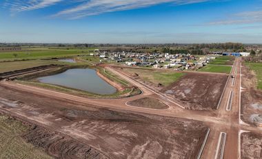 Terreno - Fincas del Rosedal - Ibarlucea