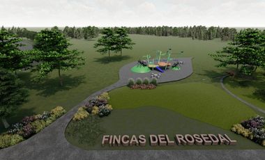 Terreno - Fincas del Rosedal - Ibarlucea
