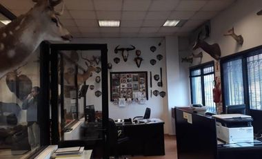 Inmueble Comercial en Venta en Lanus Este