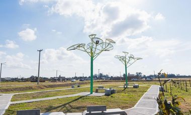 Terreno - Fincas de Ibarlucea