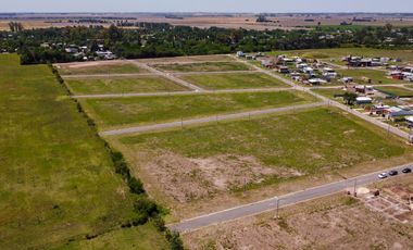 Terreno - Fincas de Ibarlucea