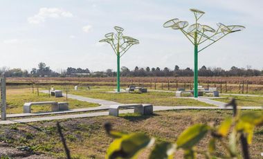 Terreno - Fincas de Ibarlucea