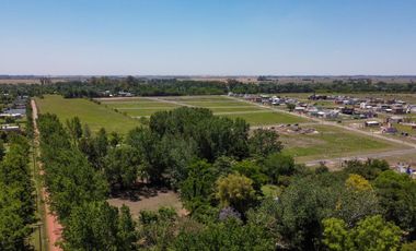Terreno - Fincas de Ibarlucea