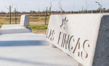 Terreno - Fincas de Ibarlucea