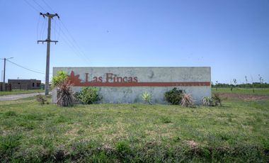 Terreno - Fincas de Ibarlucea