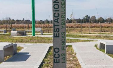 Terreno - Fincas de Ibarlucea