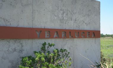 Terreno - Fincas de Ibarlucea