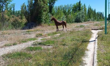 Terreno en Cinco Saltos
