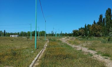 Terreno en Cinco Saltos
