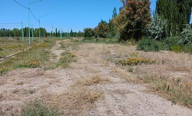 Terreno en Cinco Saltos