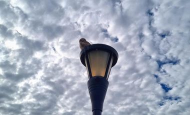 Lote en Venta, con Financiación, en Haras Santa Maria, Loma Verde, Escobar, GBA  NORTE