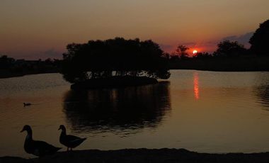 Lote en Venta, con Financiación, en Haras Santa Maria, Loma Verde, Escobar, GBA  NORTE