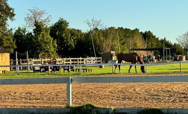 Lote en Venta, con Financiación, en Haras Santa Maria, Loma Verde, Escobar, GBA  NORTE