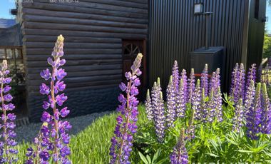 Dos cabañas en venta sobre la ruta 77, a metros de la cervercería Patagonia - Bariloche