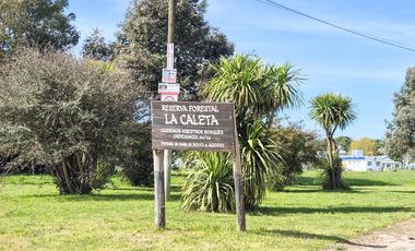 Casa de 4 amb a pasos del mar La Caleta