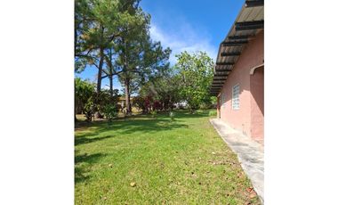 Propiedad en Venta y Alquiler / San José, San Carlos