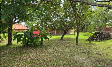 Propiedad en Venta y Alquiler / San José, San Carlos