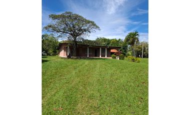 Propiedad en Venta y Alquiler / San José, San Carlos