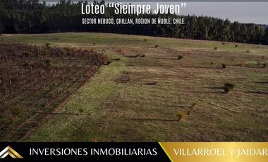 Parcela en Venta en VENTA DE PARCELA CHILLÁN VIEJO